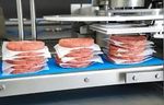 Meat Forming Machine Insights: Forming Technologies, Machine Components and Applications