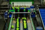 Fruit Sorting Machines Details: Sorting Methods, Features & Maintenance Explained