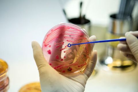 Expert Guide to Understanding Health Awareness in Delhi