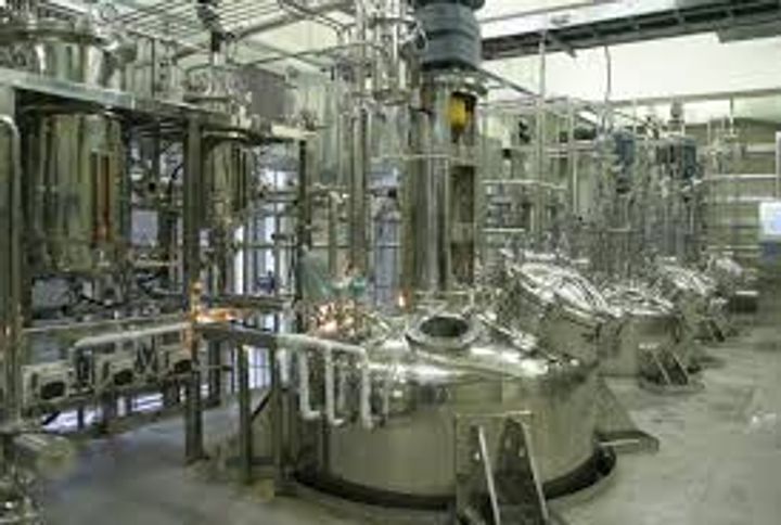 Bioreactor Basics: A Beginner’s Guide to Processes, Functions, and Uses